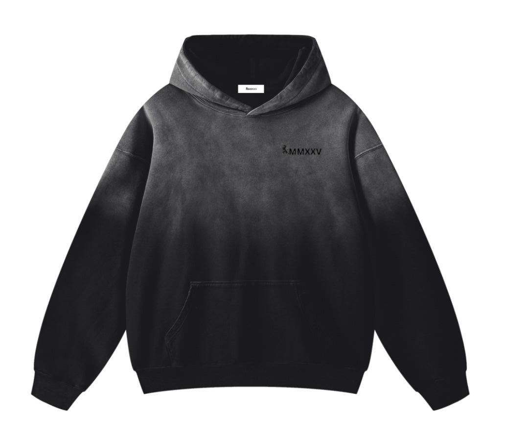Heavyweight Sunfade Oversized Hoodie