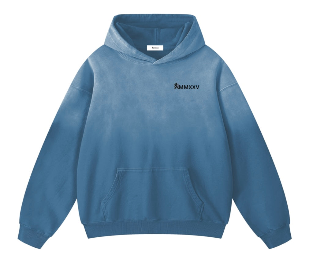 Heavyweight Sunfade Oversized Hoodie