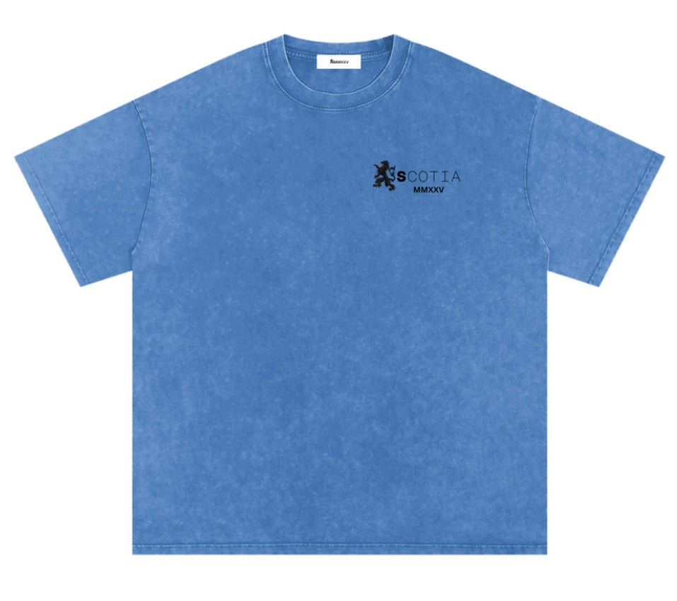 Snow Washed Oversized T-shirt