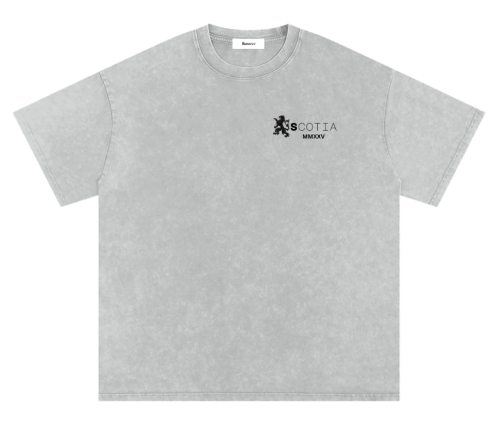 Snow Washed Oversized T-shirt