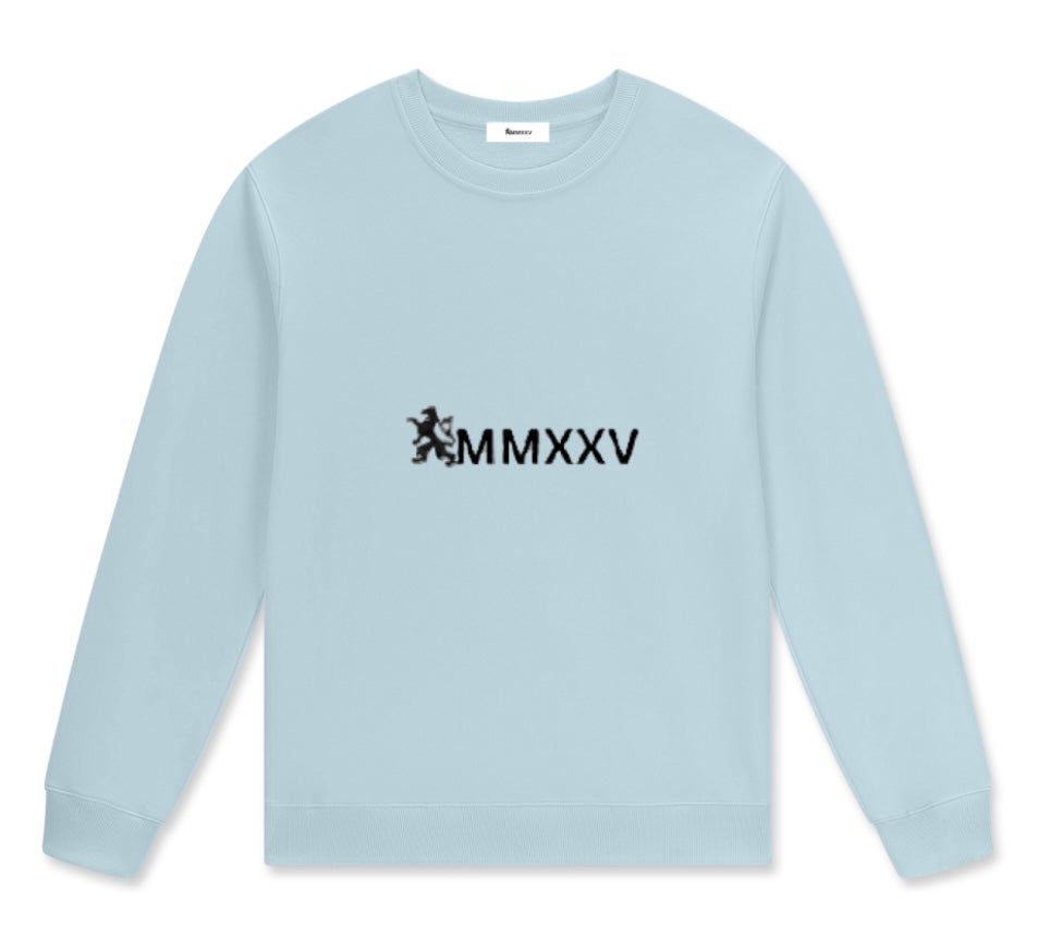 Streetwear Unisex Cotton Pullover