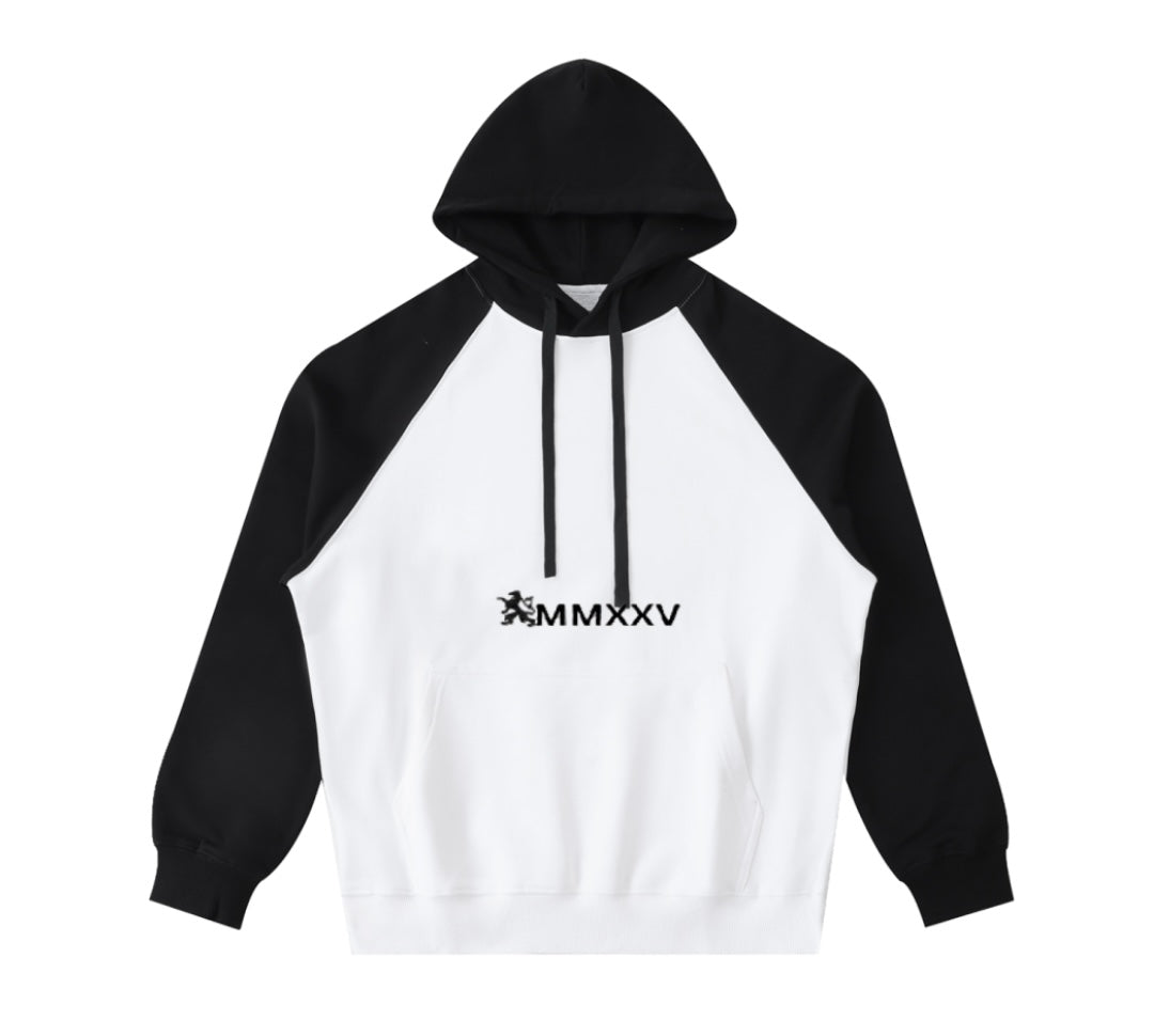 Color-Block Raglan Sleeve Hoodie