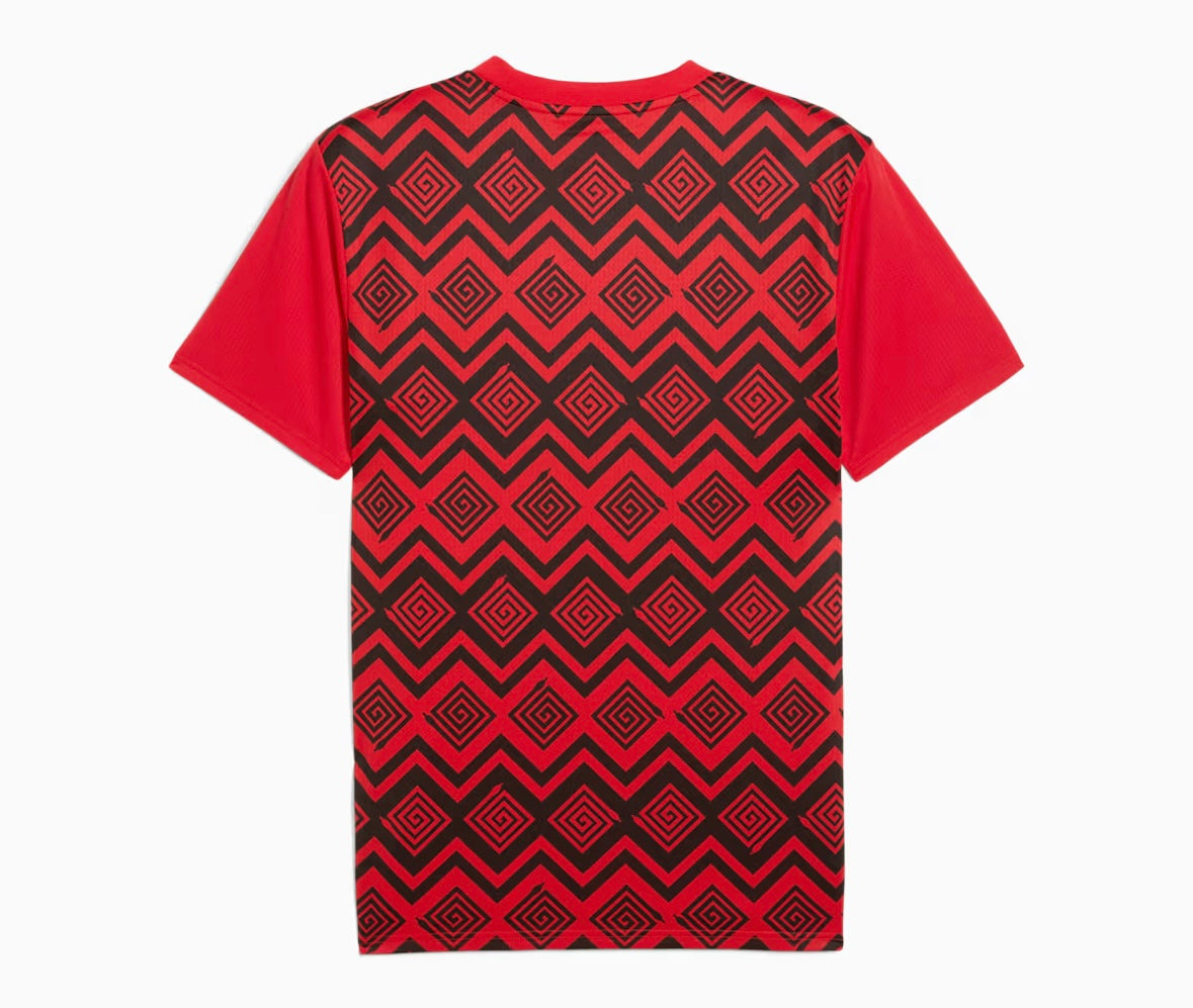 Egypt training jersey