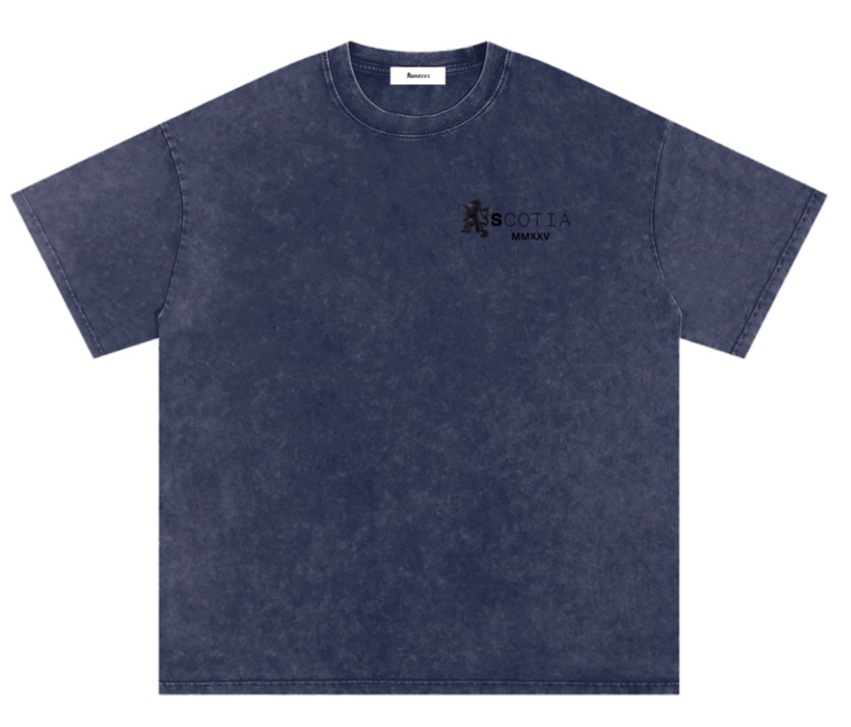 Snow Washed Oversized T-shirt