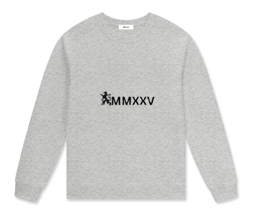 Streetwear Unisex Cotton Pullover