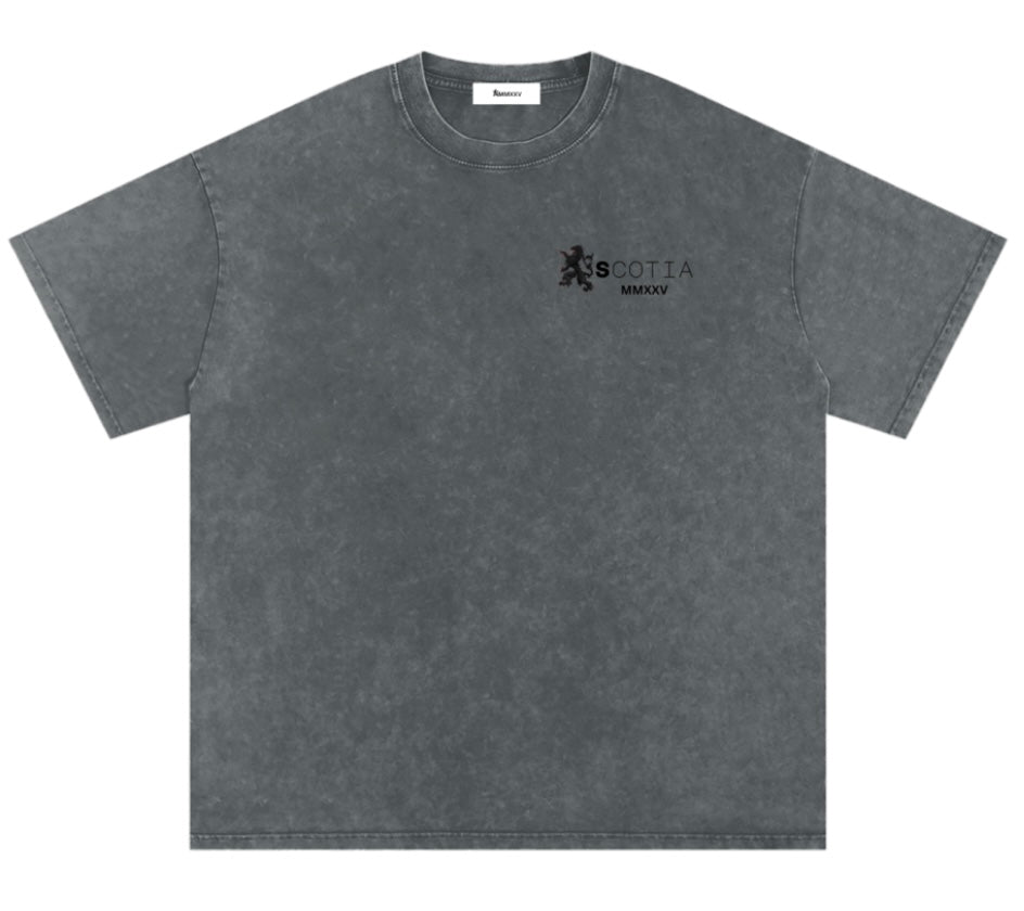 Snow Washed Oversized T-shirt