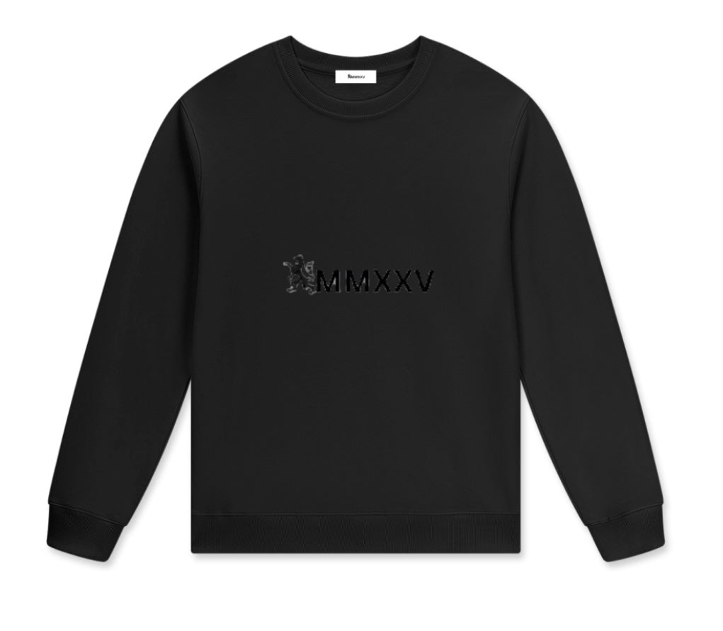 Streetwear Unisex Cotton Pullover