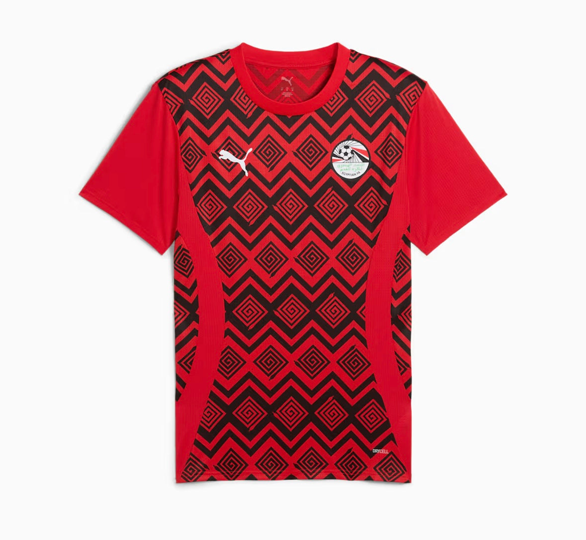Egypt training jersey